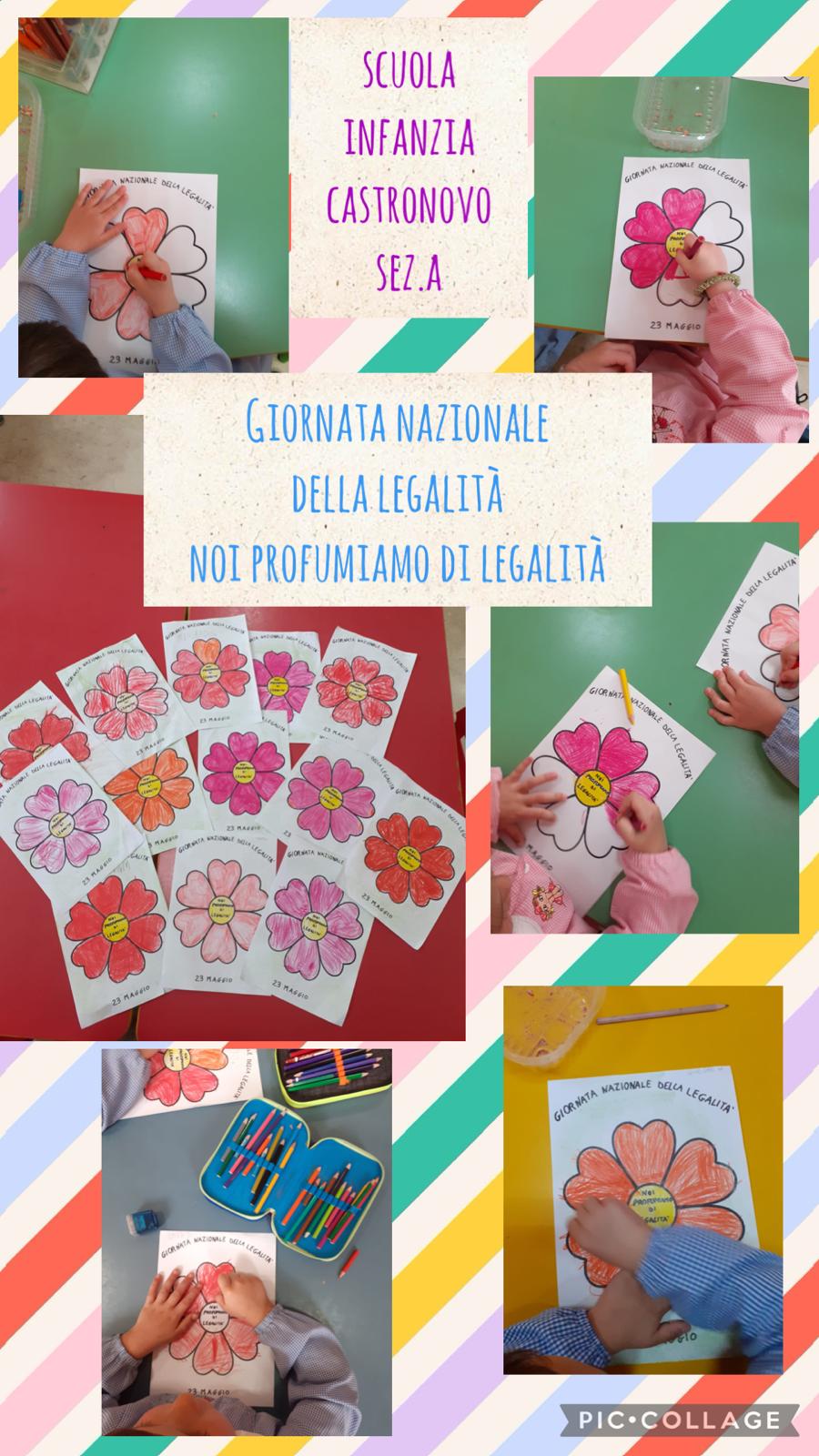 Immagine WhatsApp 2025-05-24 ore 21.54.57_dce5864f
